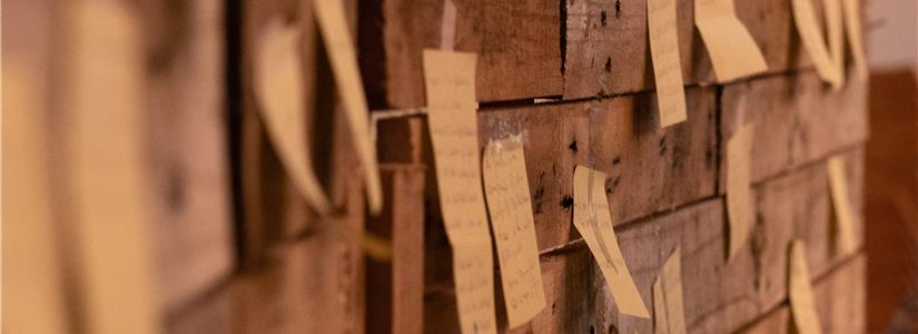Una Newsletter speciale, a cui vi chiediamo di contribuire
