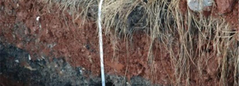 La procedura di bonifica semplificata strumento utile per l'agevolazione del recupero ambientale di aree inquinate