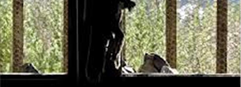 On line il bando per la nuova edizione di Exarea