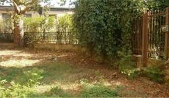 Milano - Un terreno incolto diventa orto per bambini, 