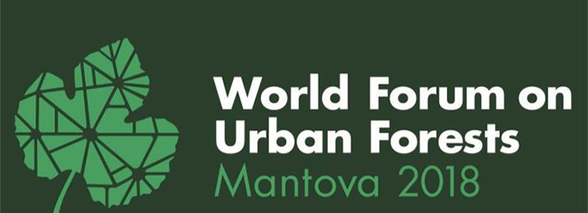 Mantova. Il progetto SOS4LIFE al World Forum on Urban Forests