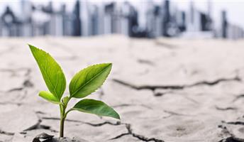Buone pratiche di adattamento ai cambiamenti climatici in ambito urbano: tutti i materiali del workshop