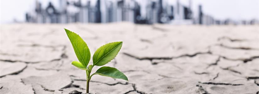 Buone pratiche di adattamento ai cambiamenti climatici in ambito urbano: tutti i materiali del workshop