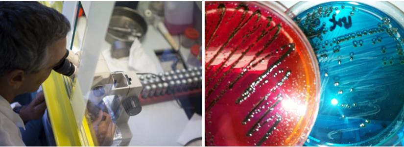 Agrolab Group rileva il ramo di attività dei laboratori di ambiente spa