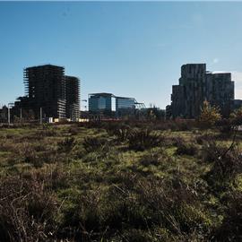Area dell'ex mercato ortofrutticolo