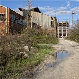 Salvatore Di Vilio - L'ex area industriale Saint Gobain a Caserta