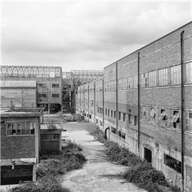Salvatore Di Vilio - L'ex area industriale Saint Gobain a Caserta