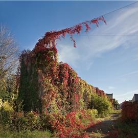 Viaggio in Porto Vecchio_15