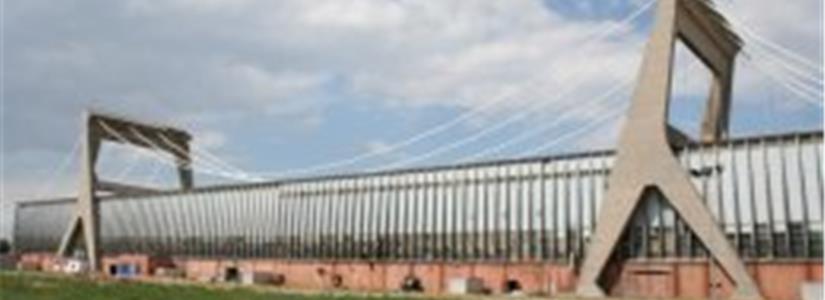 Pier Luigi Nervi Architettura come Sfida