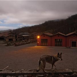 Dario Pichini, villaggio minerario della Miniera del Siele, monte Amiata tra le province di Siena e Grosseto - Menzione speciale