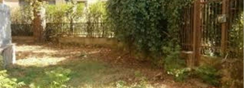 Milano un terreno incolto diventa orto per bambini, 