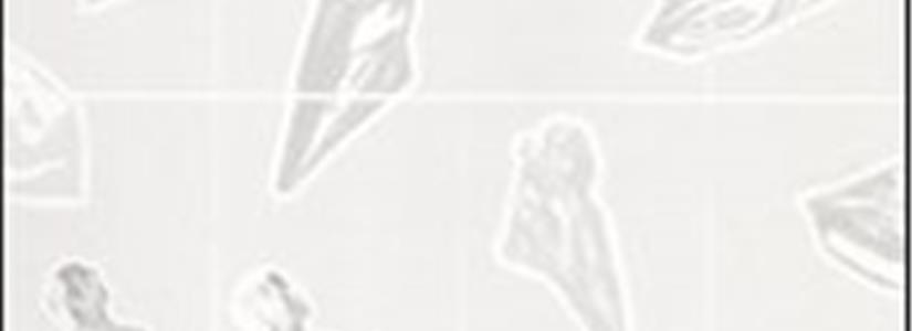 IUAV - Landscapes of urbanism